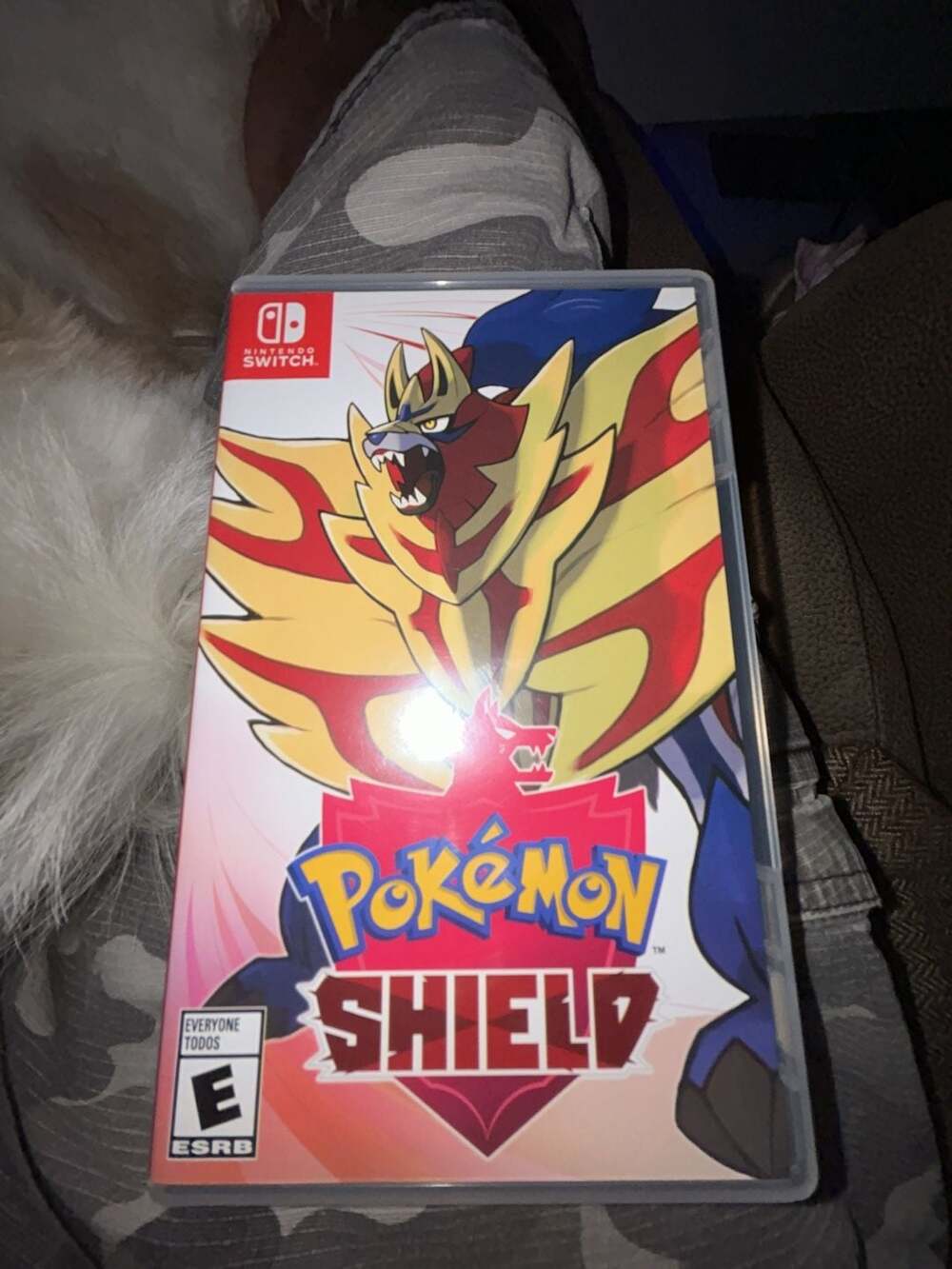 Pokémon Shield Nintendo Switch Game Card and Case